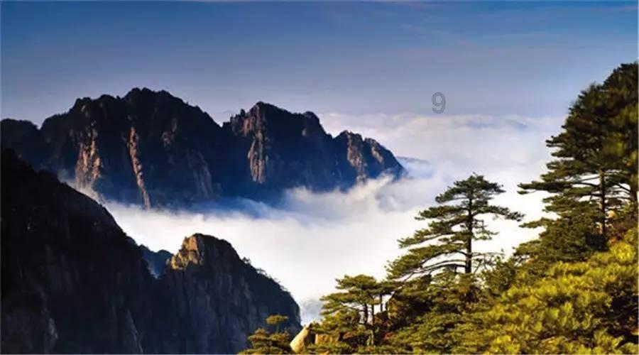 父母干涉我的婚姻大事怎么办游戏画面