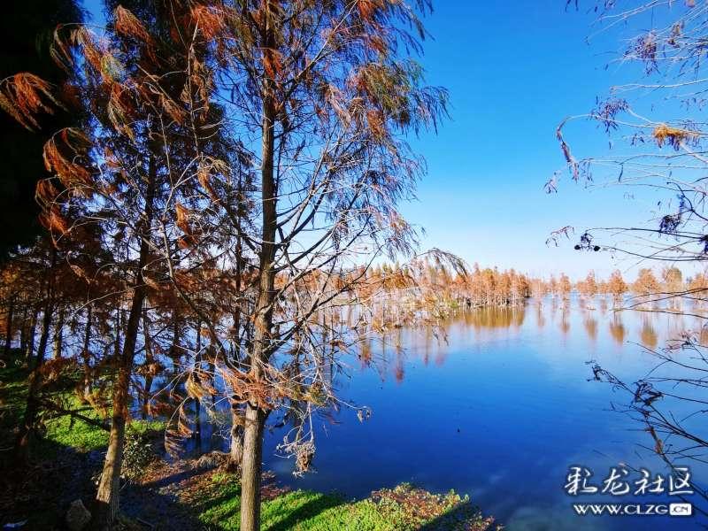 液化天然气站养海鲜?走!去现场看看