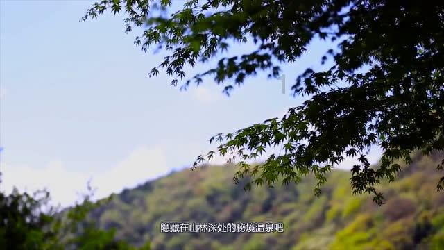 矿工打地鼠