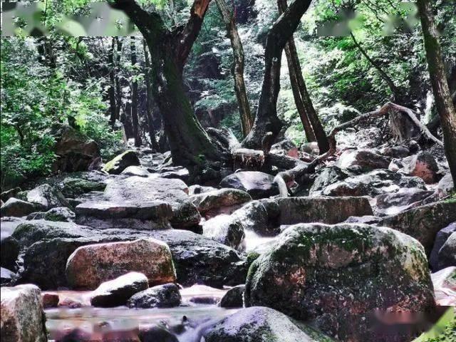 豆娃勇士2