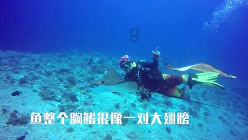 嘉日单词