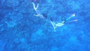 和闺蜜武汉旅游有哪些美食打卡攻略？