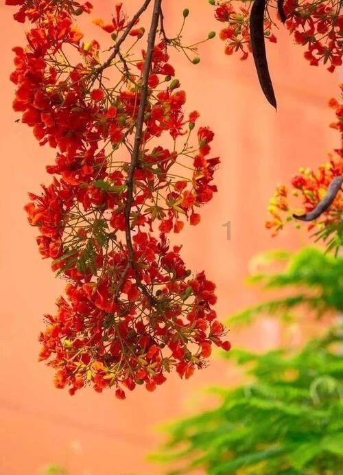 大江东|模范检察官马玮玮:法治最大的意义,是树立了标尺