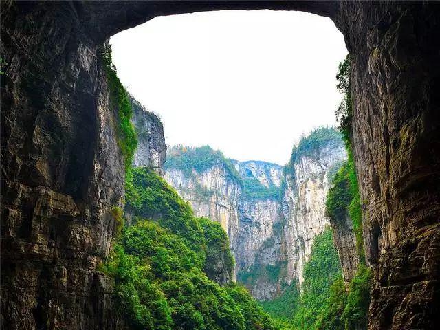 可爱猪救援2