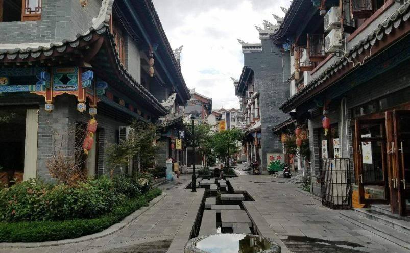 春雨直播app