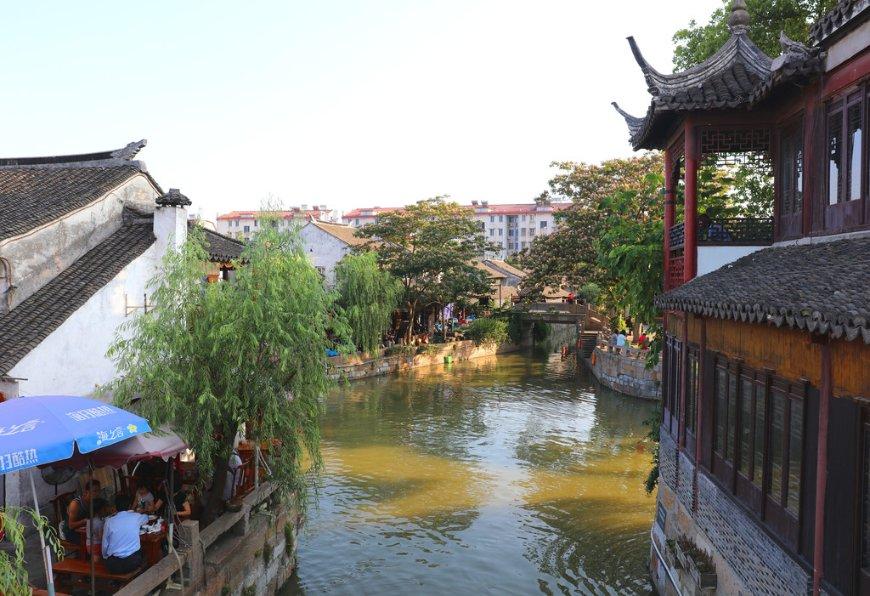 动物帮帮忙保卫家园