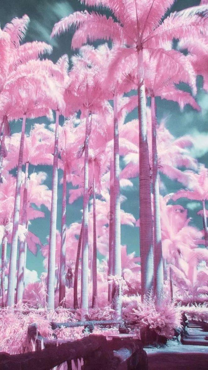 苏菲亚和安伯的休闲装
